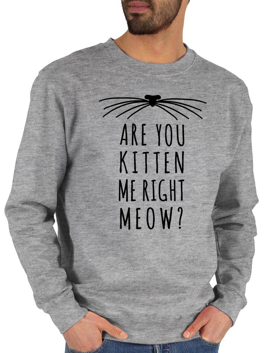 Are your kitten me right meow? Katze