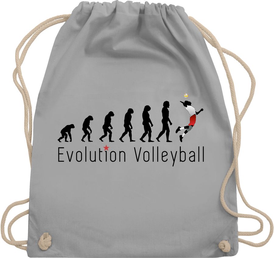 Volleyball Evolution